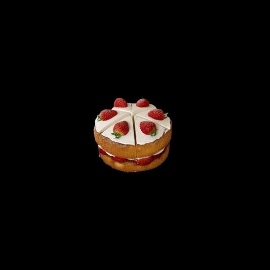 Solar Return Astro Reading